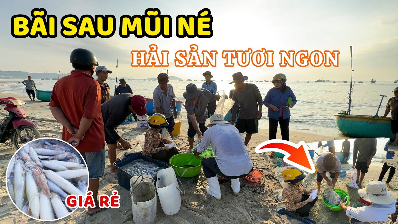 Chợ cá Bãi sau Mũi Né đầy ắp hải sản cực kỳ tươi ngon , bãi tăm êm và đẹp mùa hè  ❤️ 🏝