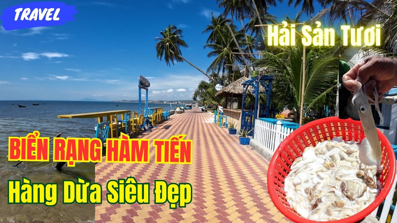 BIỂN RẠNG HÀM TIẾN PHAN THIẾT  View siêu đẹp với Những Hàng Dừa Cao Vút  ❤️  Phan Thiết Phố  🏝