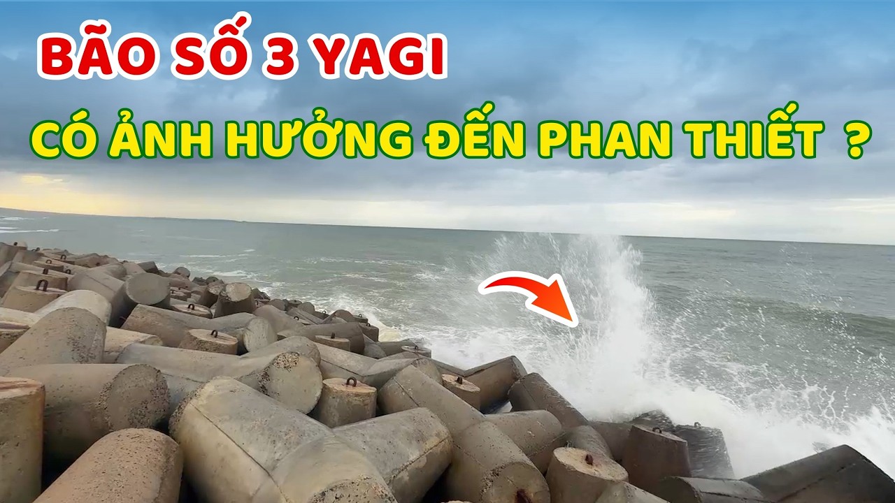 Tình Hình Thời Tiết: Bão Số 3 Yagi Ảnh Hưởng Đến Mũi Né Như Thế Nào? 🌧️⚠️ ❤️  Phan Thiết Phố  🏝