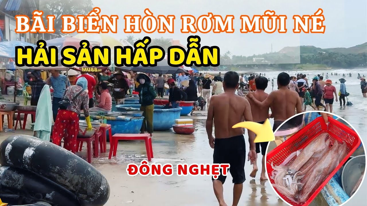 Bãi biển Hòn Rơm Mũi Né  đông nghẹt du khách ngày hè, hải sản tươi ngon hấp dẫn  ❤️  🏝