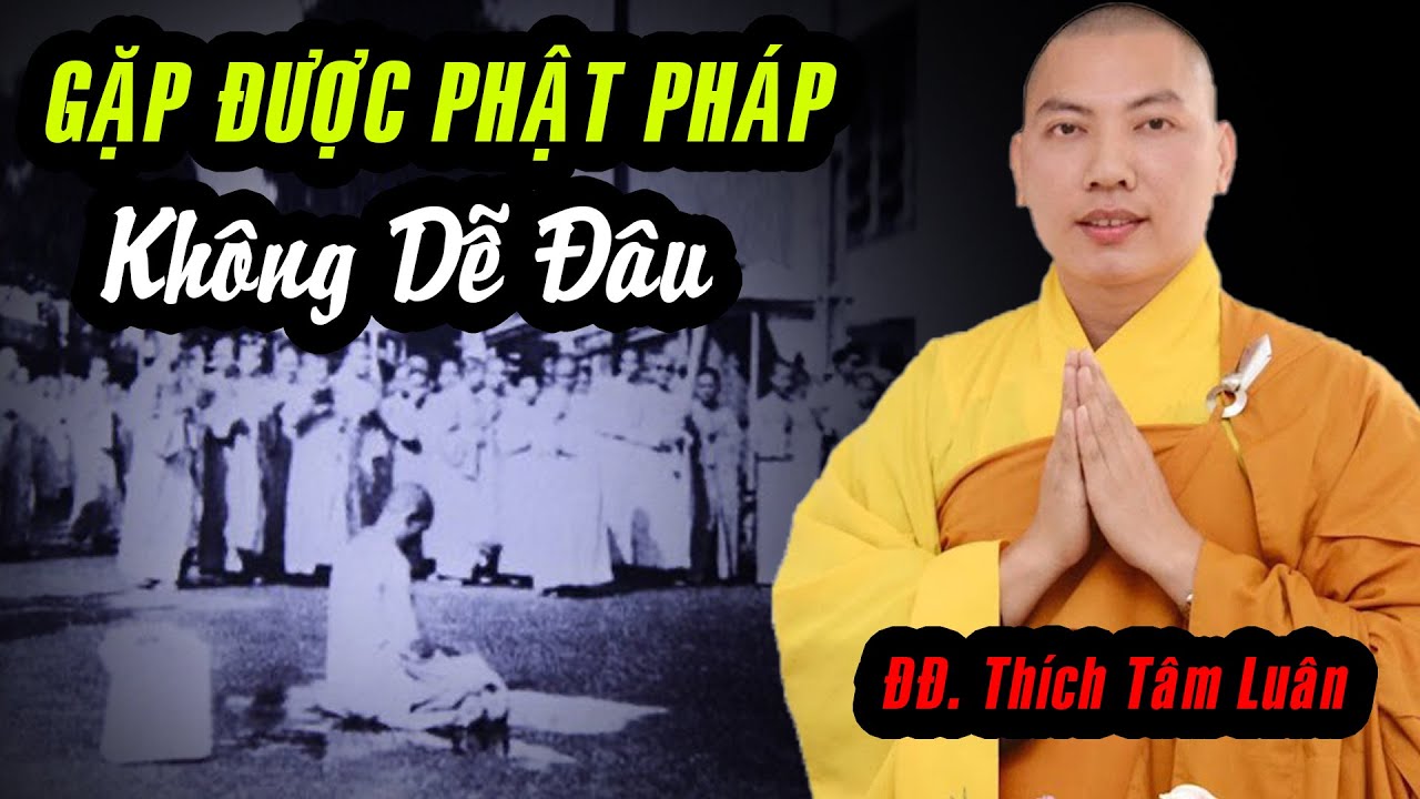 Phật tử cần có Chánh Kiến khi tham gia mạng xã hội - Sư Thầy phân tích QUÁ HAY và CHÍNH XÁC !