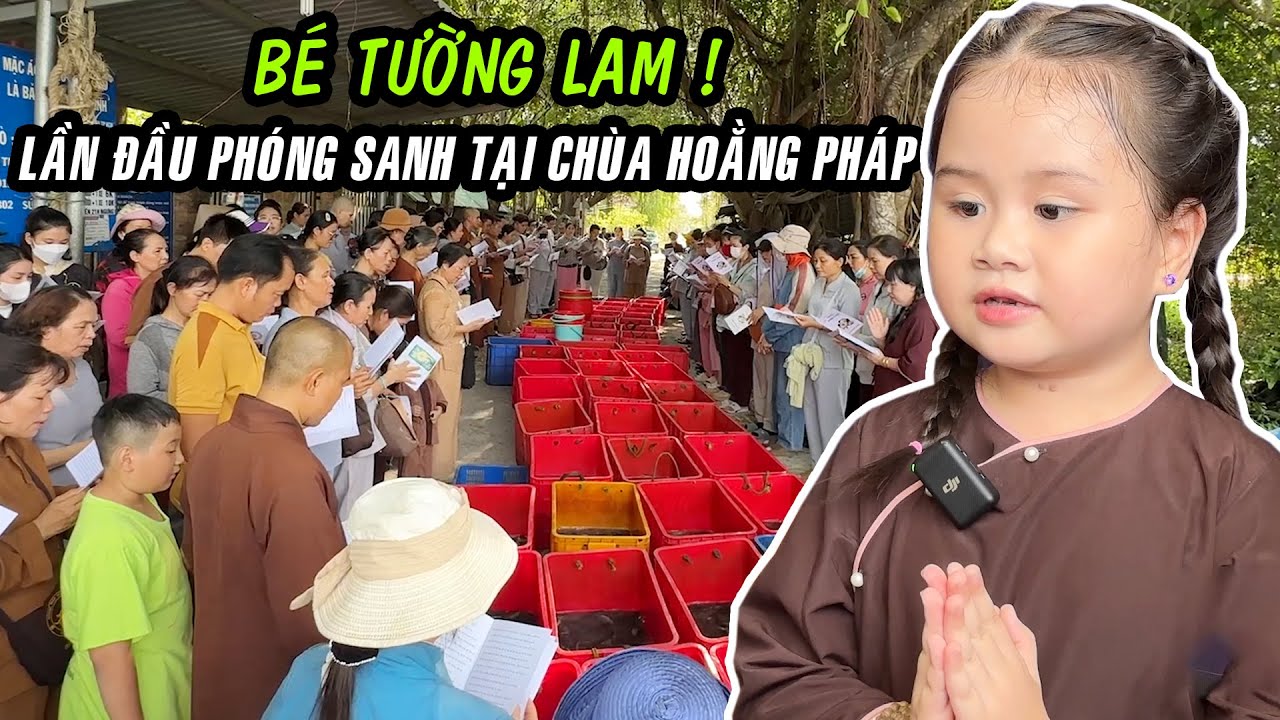 Bé Tường Lam lần đầu đi phóng sanh tại chùa Hoằng Pháp THUỘC LÀU Bài Học Nhớ Ơn !