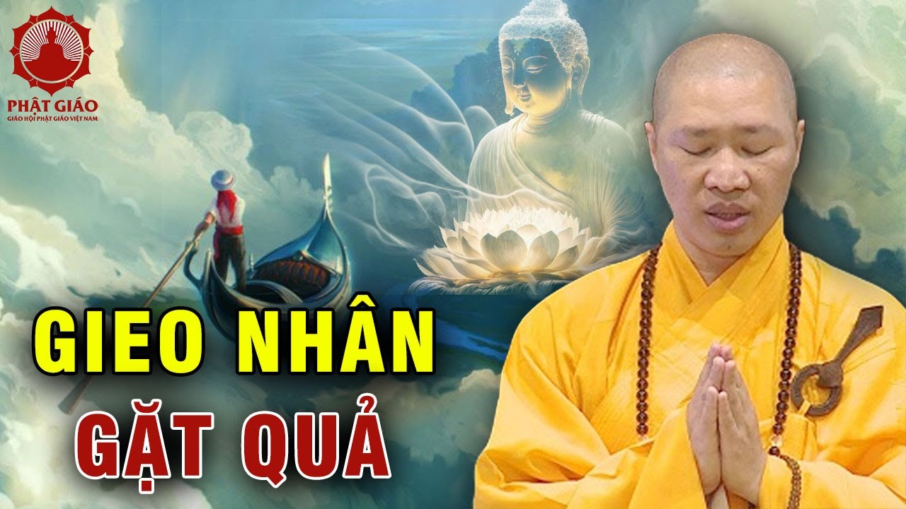 Gieo nhân gặt quả | Thầy Thích Thiện Thuận | Phật giáo Việt Nam