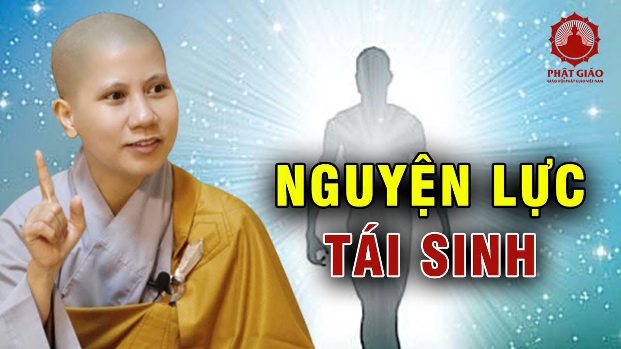 Nguyện lực tái sanh | SC. Giác Lệ Hiếu | Phật giáo Việt Nam