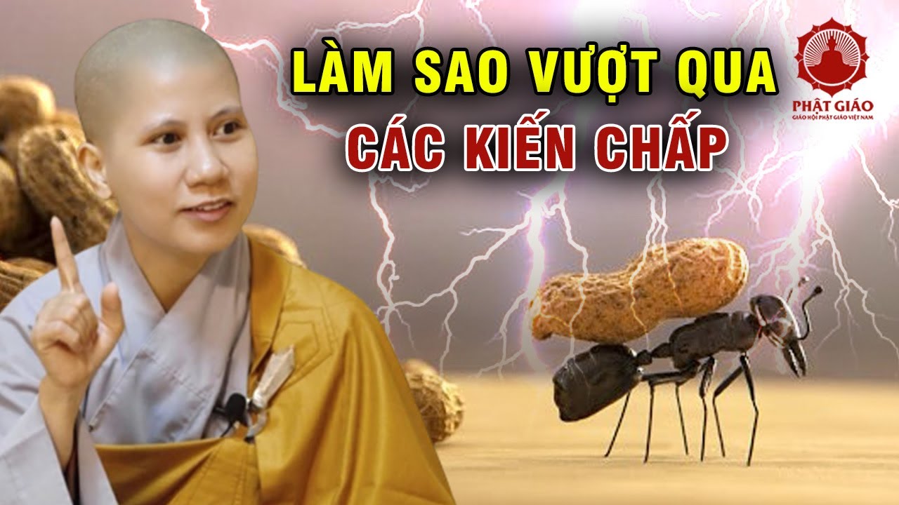 Làm sao vượt qua các KIẾN CHẤP | SC Giác Lệ Hiếu | PGVN