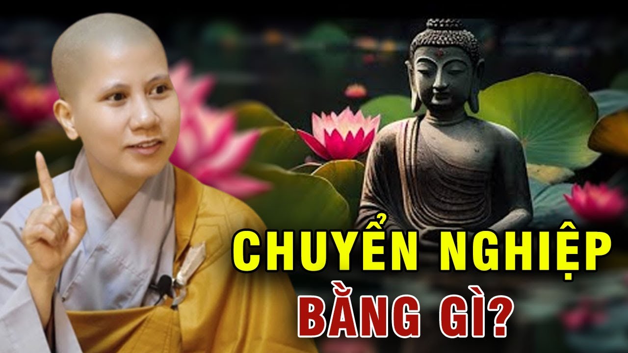 Chuyển nghiệp bằng gì? SC Giác Lệ Hiếu | Phật giáo Việt Nam