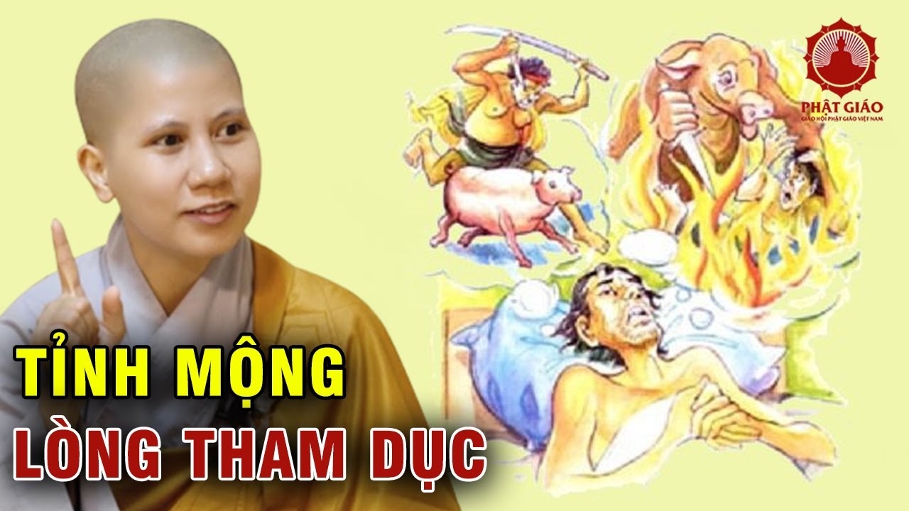 Lòng tham dục làm sao tỉnh mộng? SC. Giác Lệ Hiếu | Phật giáo Việt Nam