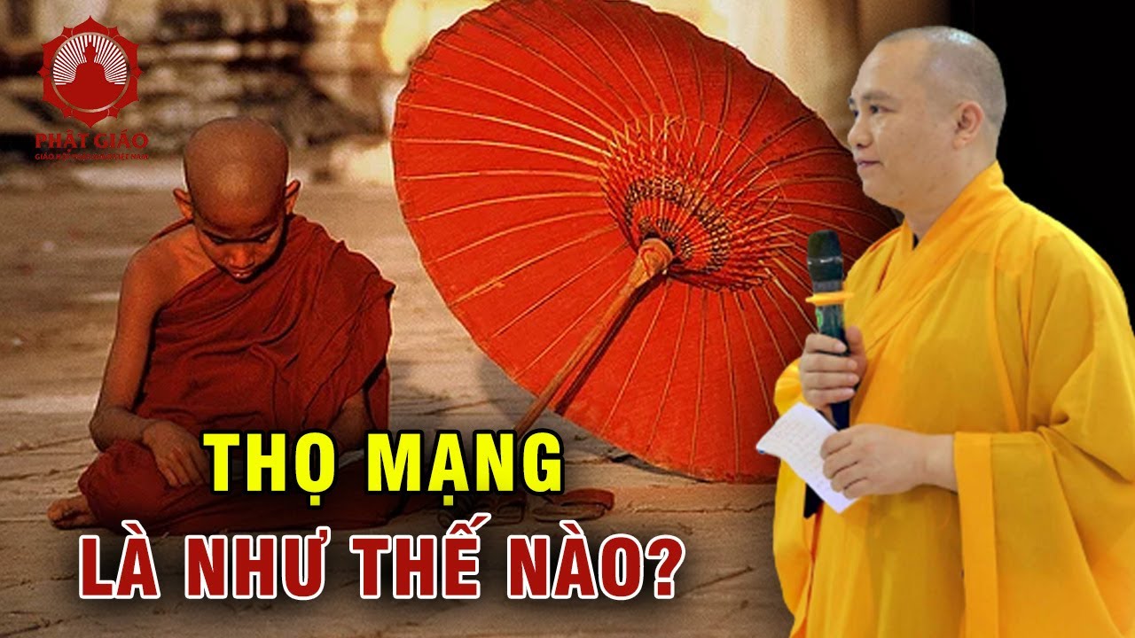 THỌ MẠNG trong kinh nói là như thế nào? Thầy Thích Đạo Thịnh trả lời vấn đáp | Phật giáo Việt Nam