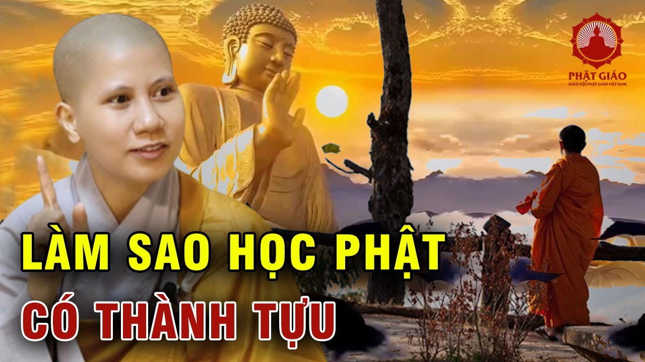 Nên bắt đầu học Phật từ đâu để có thành tựu? SC Giác Lệ Hiếu | Phật giáo Việt Nam