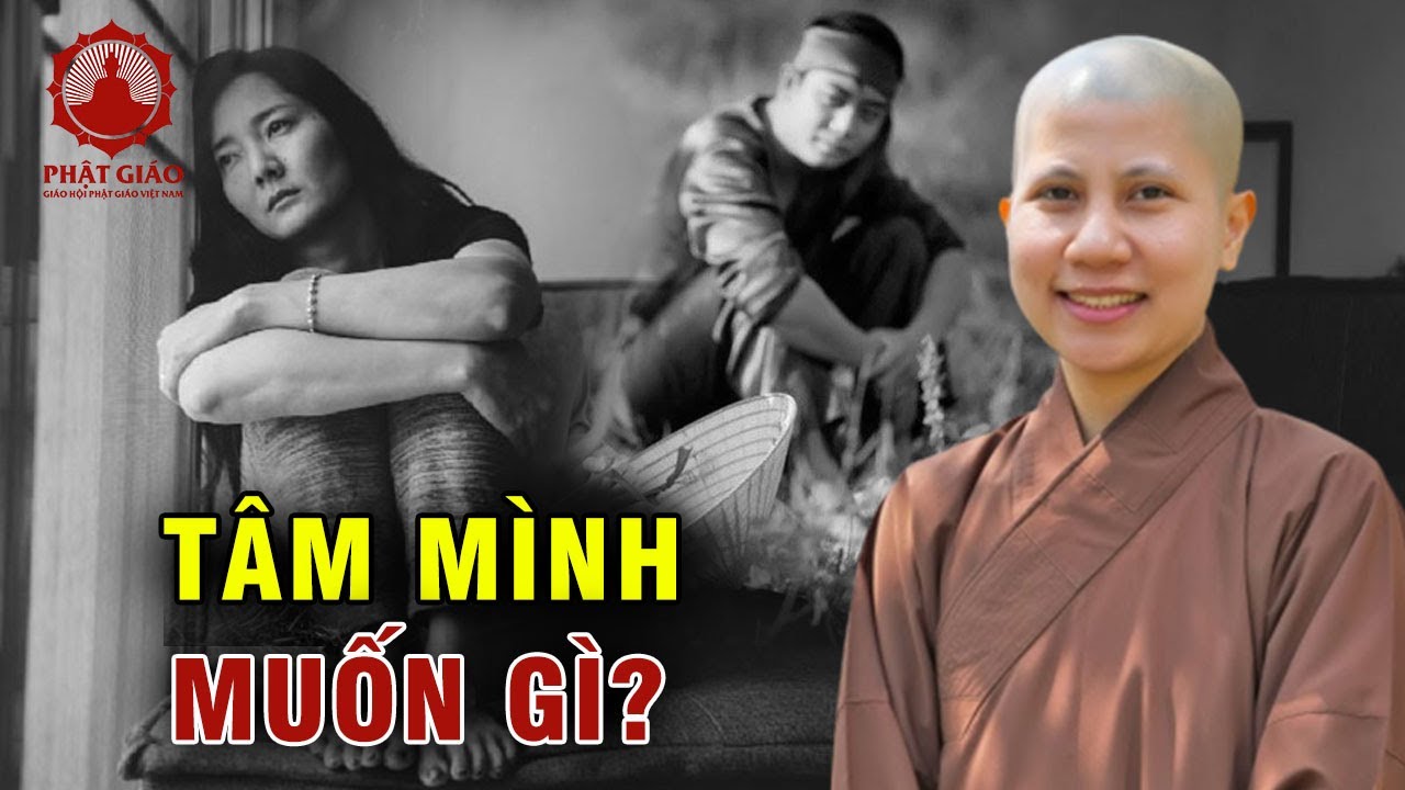 Tâm mình muốn gì? SC Giác Lệ Hiếu | Phật giáo Việt Nam