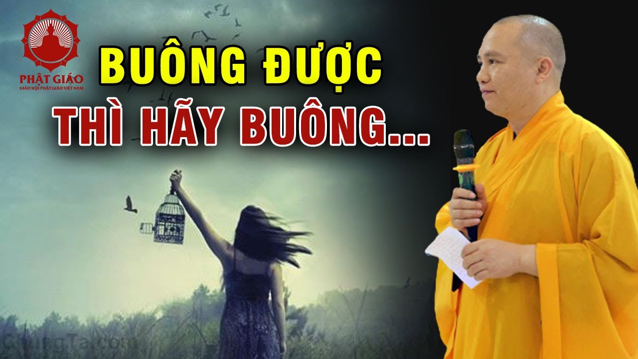 Buông được thì hãy buông... Thầy Thích Đạo Thịnh trả lời vấn đáp | Phật giáo Việt Nam