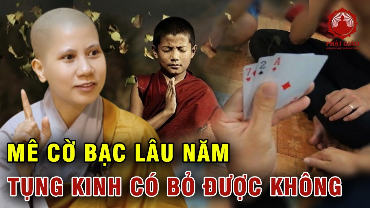 Đam mê cờ bạc lâu năm làm sao dứt? SC Giác Lệ Hiếu | Phật giáo Việt Nam