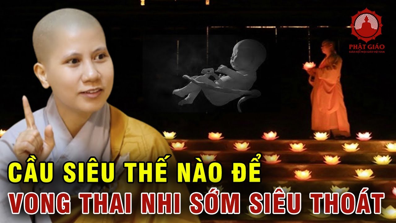 Cầu siêu như thế nào để thai nhi chết non dễ tái sanh? SC Giác Lệ Hiếu | Phật giáo Việt Nam