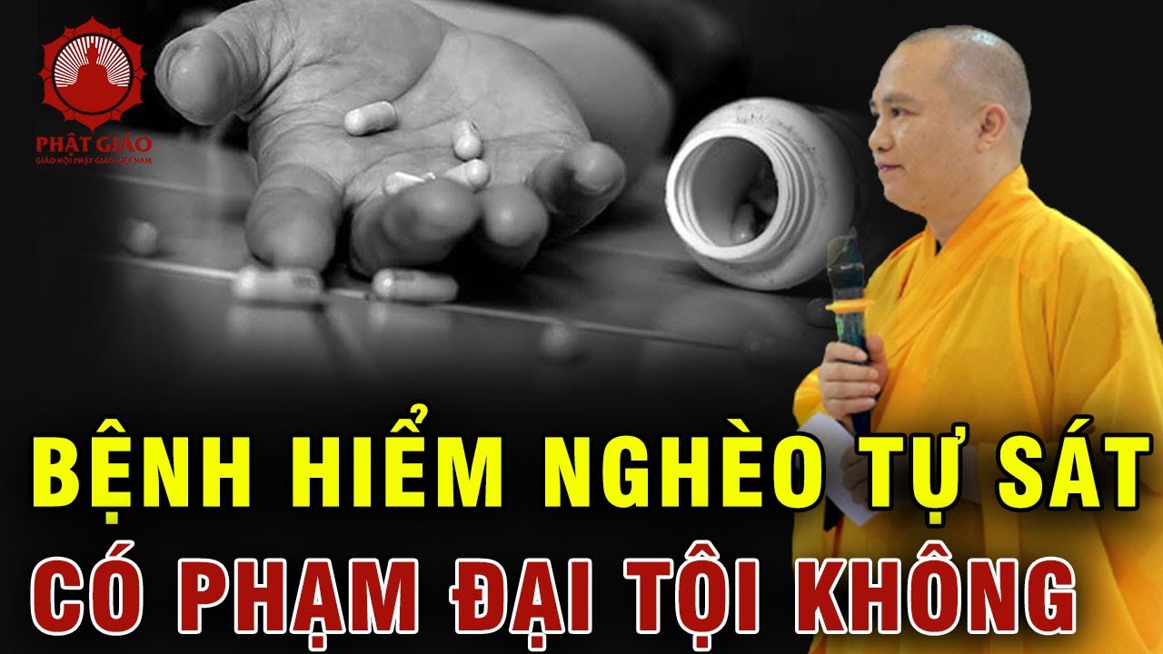 Bị bệnh hiểm nghèo nên tự sát có bị tội không? Thầy Thích Đạo Thịnh | Phật giáo Việt Nam