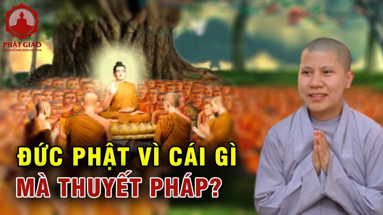 Đức Phật vì cái gì mà thuyết pháp? SC Giác Lệ Hiếu | Phật giáo Việt Nam