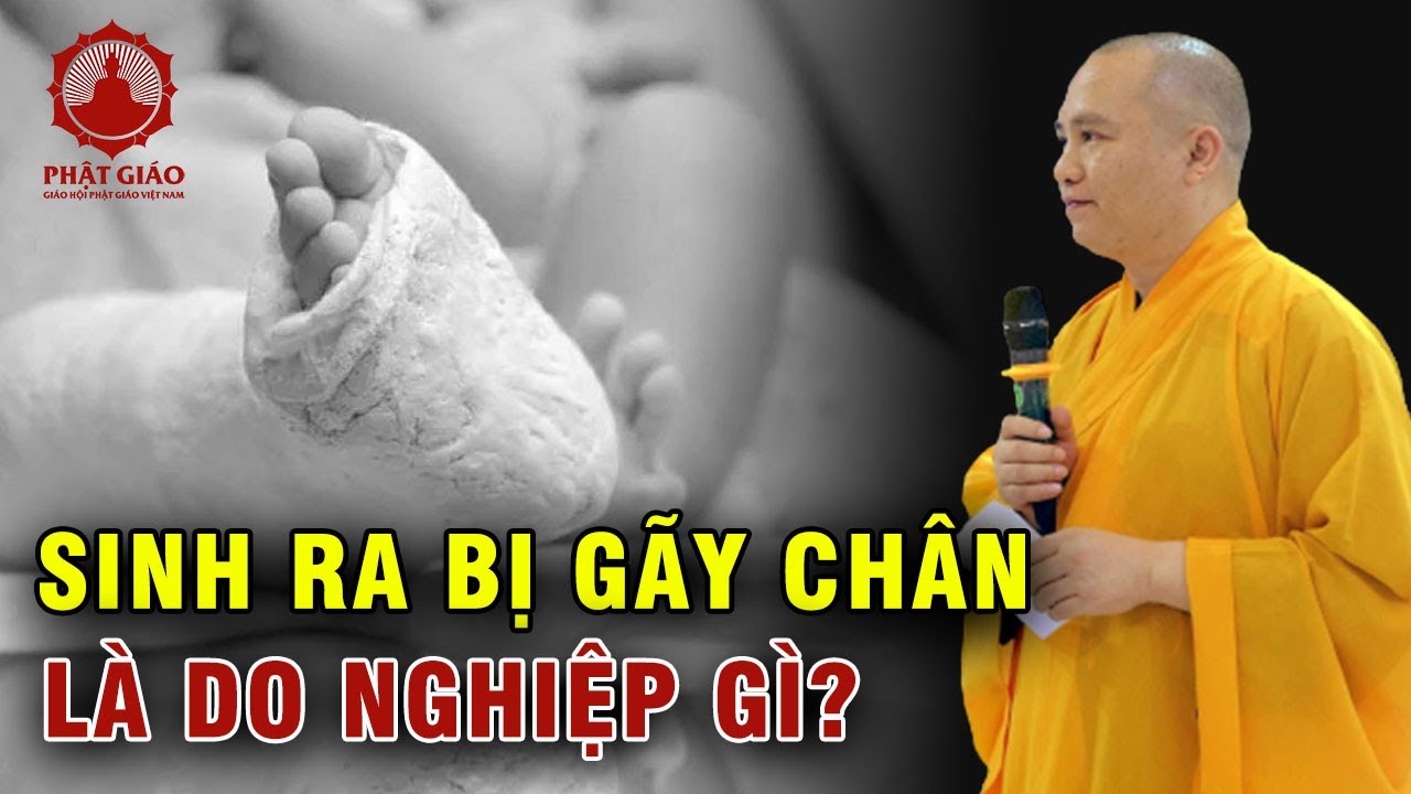 Sinh ra bị gãy chân là do nghiệp gì? Thầy Thích Đạo Thịnh trả lời vấn đáp | Phật giáo Việt Nam