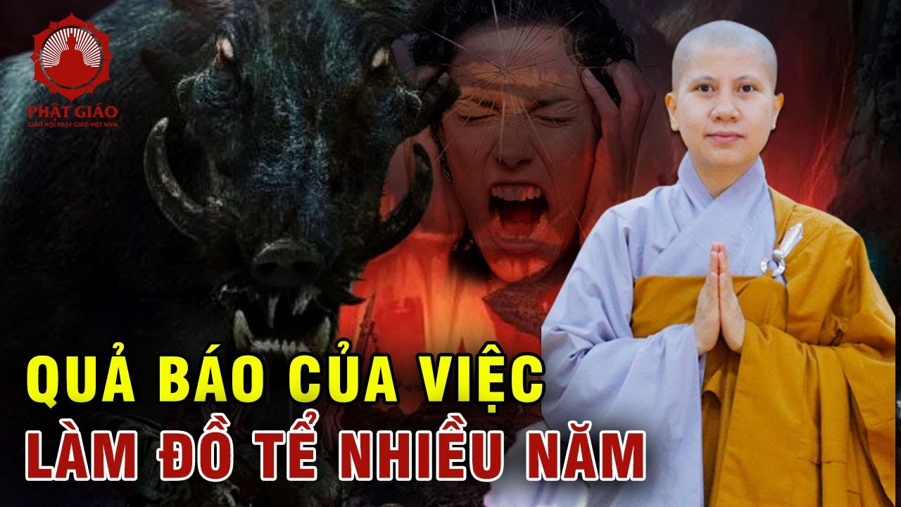 Quả báo của việc làm đồ tể nhiều năm | SC Giác Lệ Hiếu | Phật giáo Việt Nam