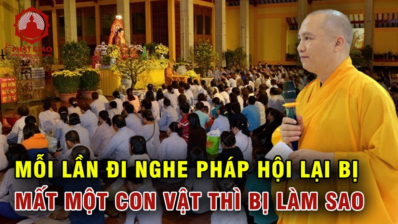 Mỗi lần đi dự pháp hội trong nhà lại mất một con vật thì có làm sao không? Thầy Thích Đạo Thịnh