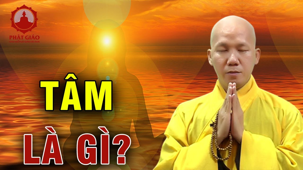 Tâm là cái gì? Đại Đức Thích Minh Thành | Phật giáo Việt Nam