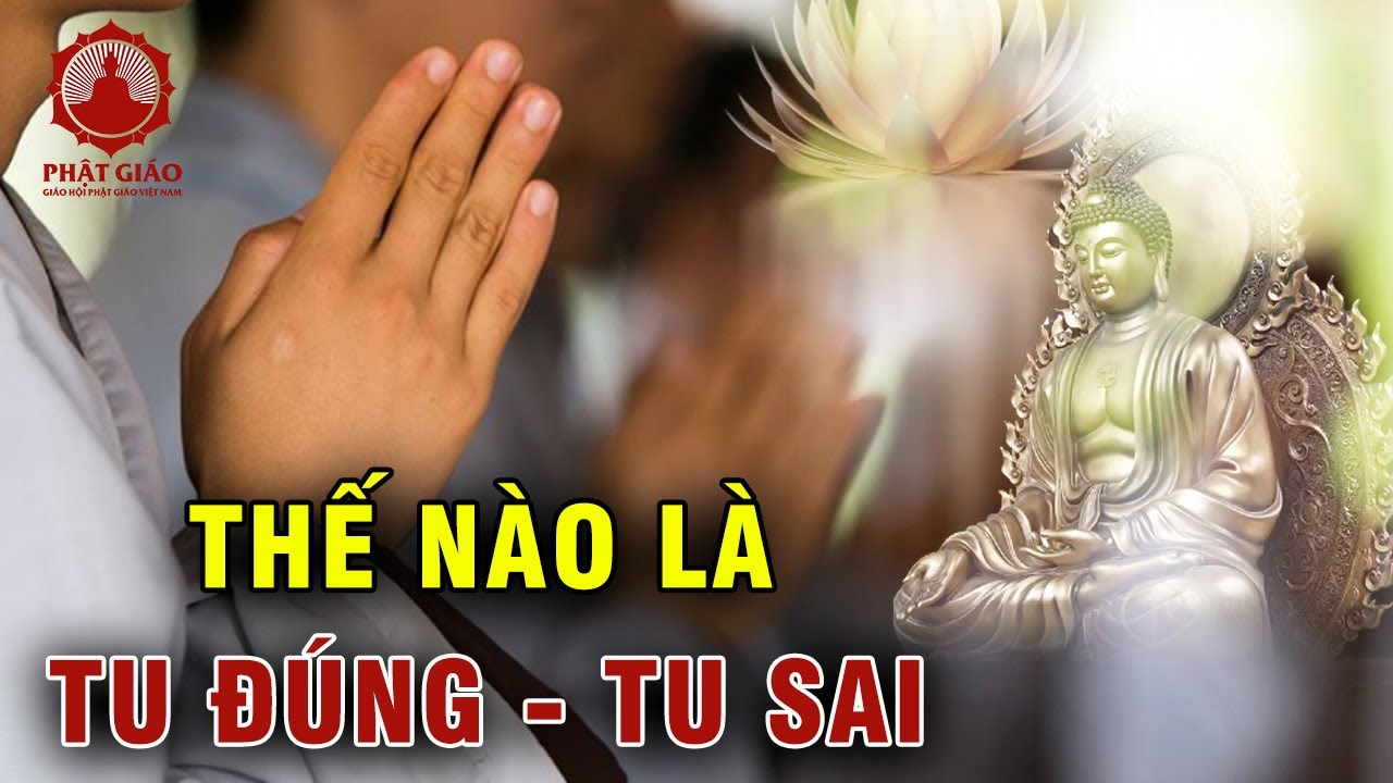 Thế Nào Là Tu Đúng, Tu Sai? HT Thích bửu Chánh | Phật giáo Việt Nam