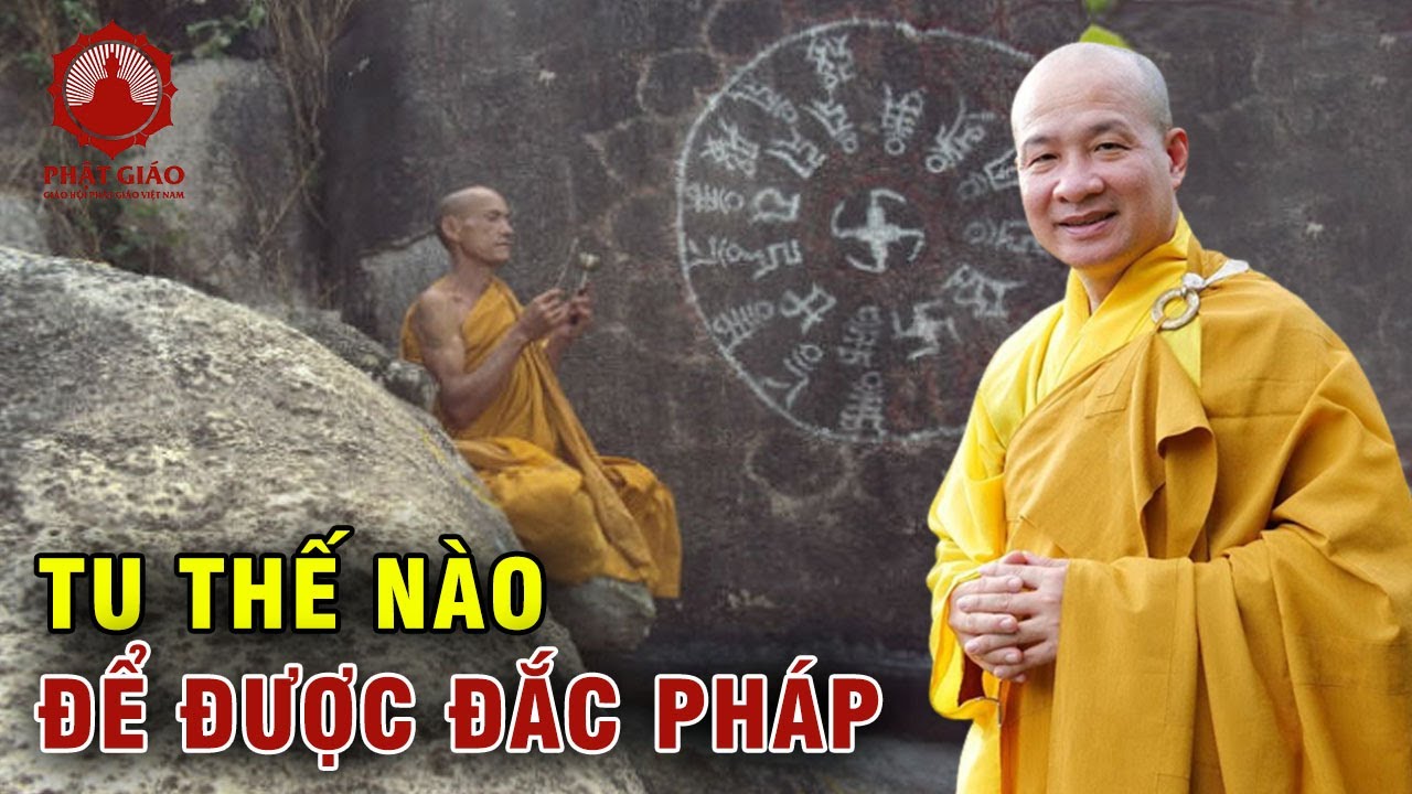 Làm thế nào để tu đắc Pháp? Thầy Thích Trí Huệ | Phật giáo Việt Nam