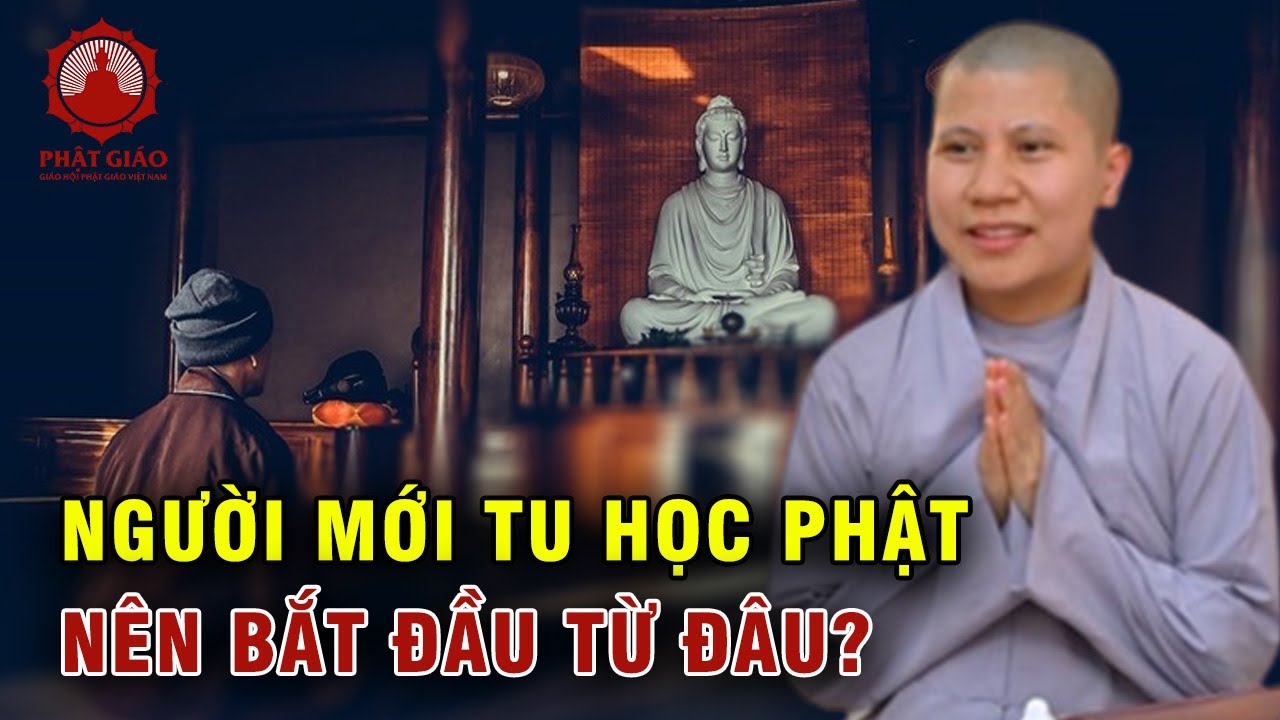 Người mới tu tập Phật Pháp nên bắt đầu từ đâu? SC Giác Lệ Hiếu | Phật giáo Việt Nam