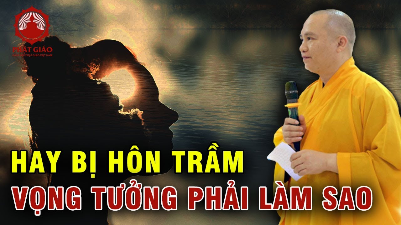 Lúc công phu hay bị hôn trầm, vọng tưởng phải làm thế nào? Thầy Thích Đạo Thịnh trả lời vấn đáp