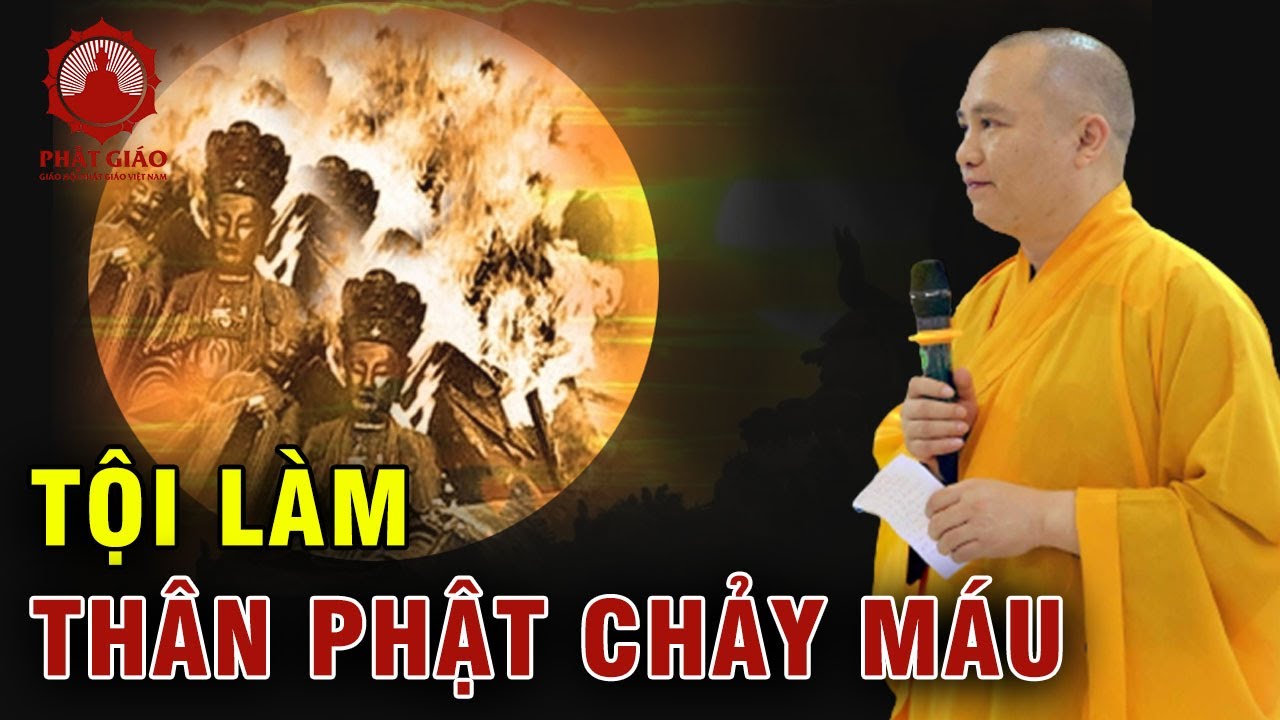 Tội làm thân Phật chảy máu là tội gì? Thầy Thích Đạo Thịnh trả lời vấn đáp | Phật giáo Việt Nam