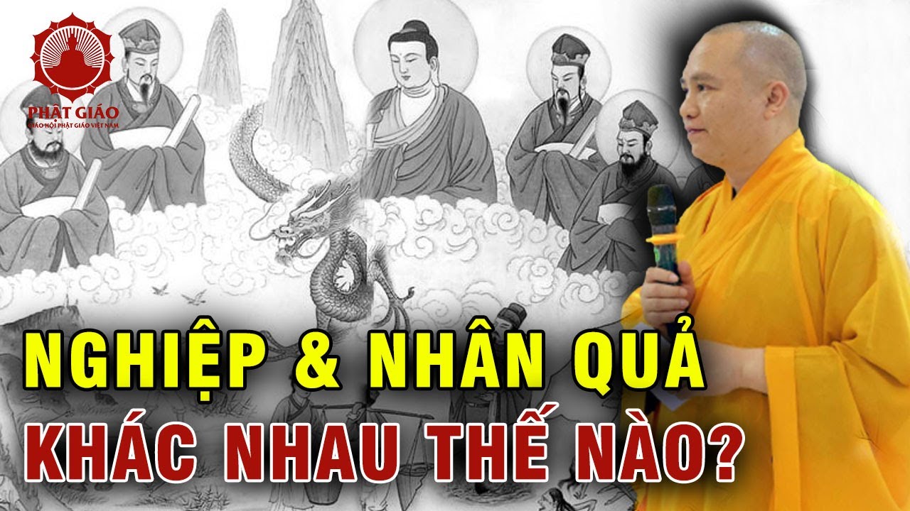 Nghiệp và Nhân Quả khác nhau thế nào? Thầy Thích Đạo Thịnh trả lời vấn đáp | Phật giáo Việt Nam