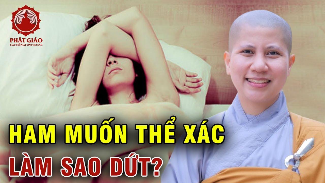 Làm thế nào để rời xa ham muốn tham dục? SC Giác Lệ Hiếu | Phật giáo Việt Nam