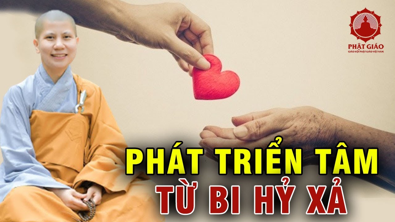 Làm thế nào phát triển được tâm tâm từ bi hỷ xả? SC. Giác Lệ Hiếu | Phật giáo Việt Nam