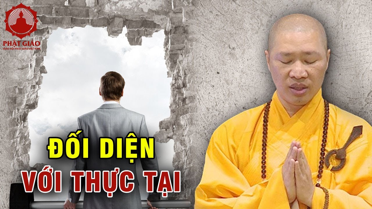 Thực tại làm sao đối diện? Thấy Thích Thiện Thuận | Phật giáo Việt Nam