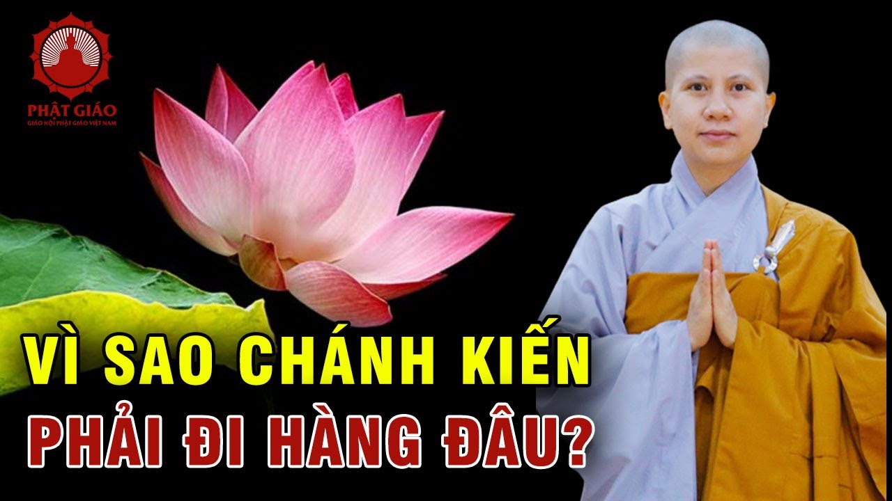 Tại sao chánh kiến phải đi hàng đầu? SC. Giác Lệ Hiếu | Phật giáo Việt Nam