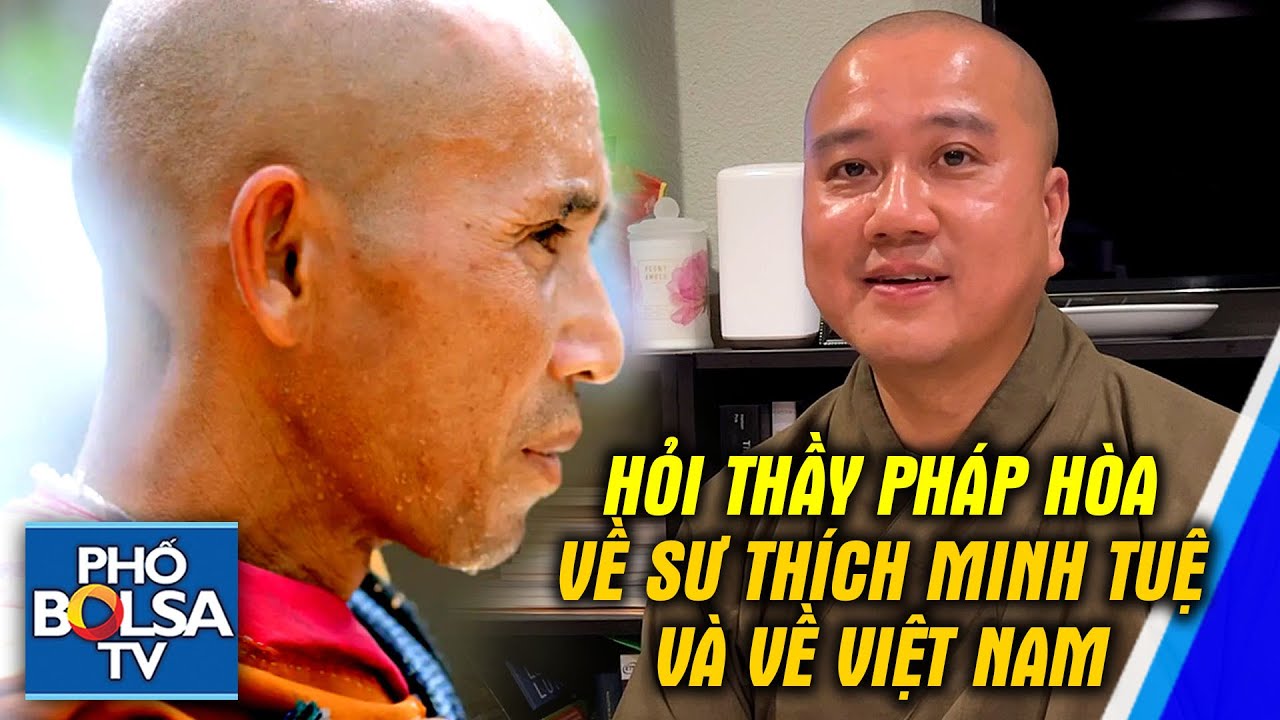 Thầy Pháp Hòa xác minh: Chưa bao giờ ý kiến về sư Minh Tuệ; Chưa về VN vì bận chứ không có vấn đề gì