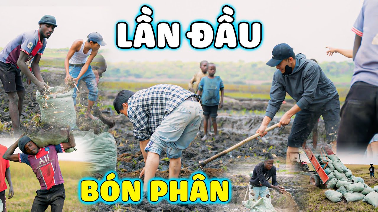 Quanglinhvlogs || Lần Đầu Trải Nghiệm "Bón Phân" Cho Ruộng Lúa - Liệu Cái Kết Có Như Mong Đợi...