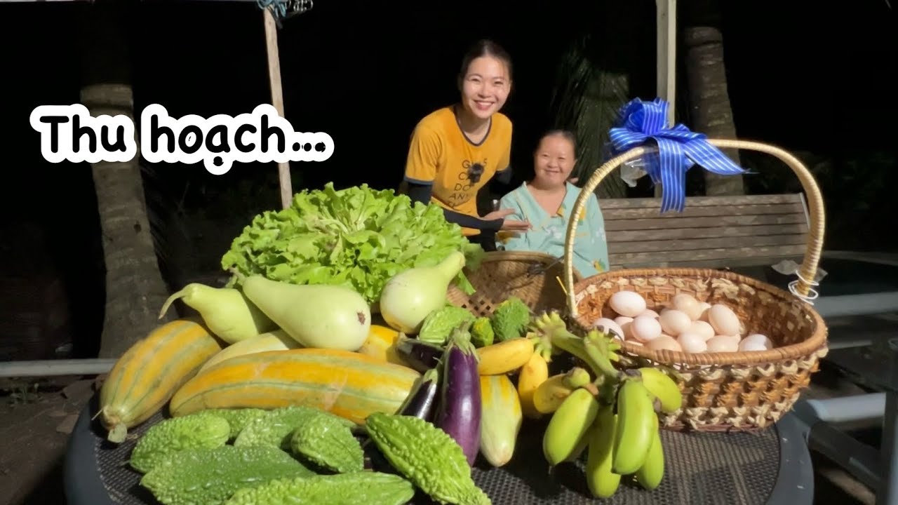 Thu hoạch đêm bội thu: KHỔ QUA, CẢI XÀ LÁCH, TRỨNG GÀ VỊT, DƯA GANG, BẦU, CÀ TÍM…