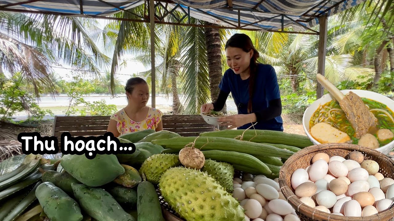 Cuộc sống vùng quê: Quyên thu hoạch khủng MÃNG CẦU, TRỨNG GÀ VỊT, NHA ĐAM, MƯỚP, ĐU ĐỦ, CỦ SẮN…