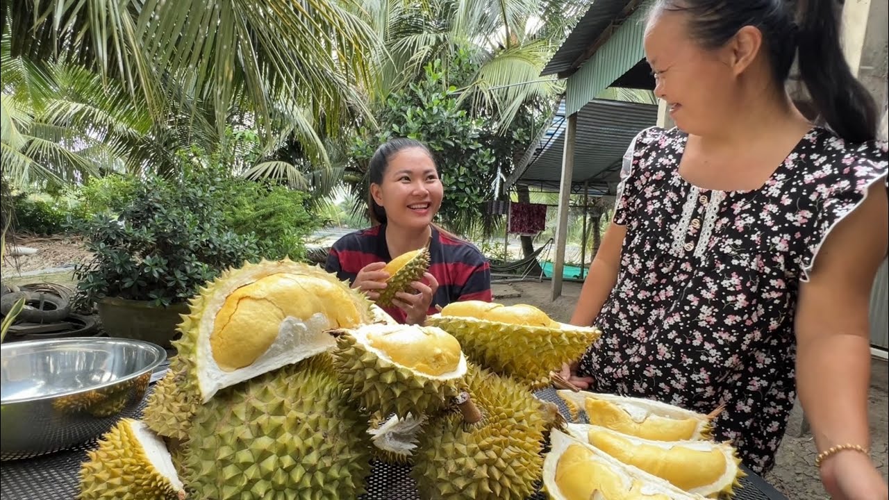 Quyên khui 1 tụng sầu riêng không nhúng thuốc vỏ mỏng, cơm vàng, ăn vô béo ngậy. Quê Tôi #138