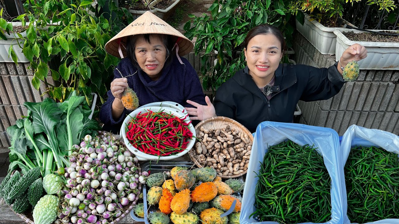 Mẹ choáng ngợp với dưa sừng gai lần đầu ăn thử - Bội thu ớt chỉ thiên,cà pháo,khổ qua&đậu phộng#1538