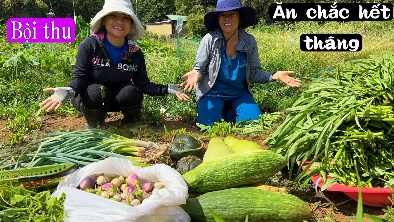 Đưa mẹ ra ruộng quơ quào c..ó chút vậy mà được bội thu quá trời vậy nè