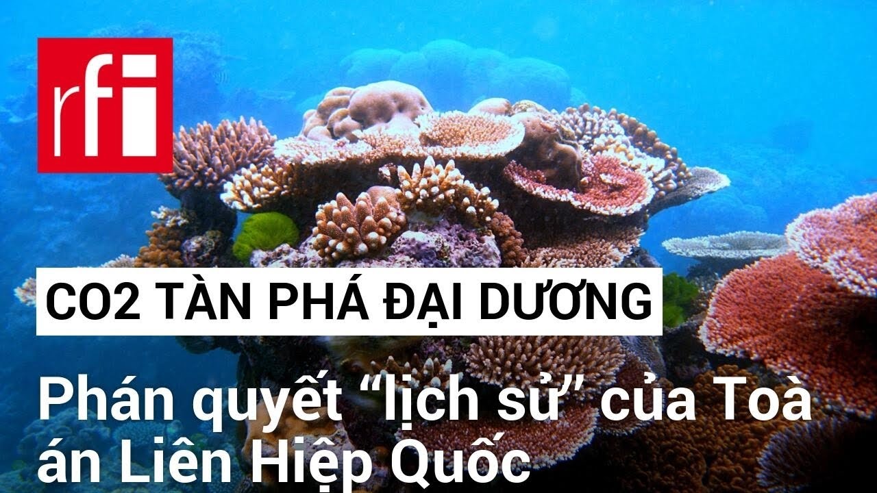 C02, thủ phạm tàn phá đại dương: Phán quyết ‘‘lịch sử’’ của Toà án Liên Hiệp Quốc