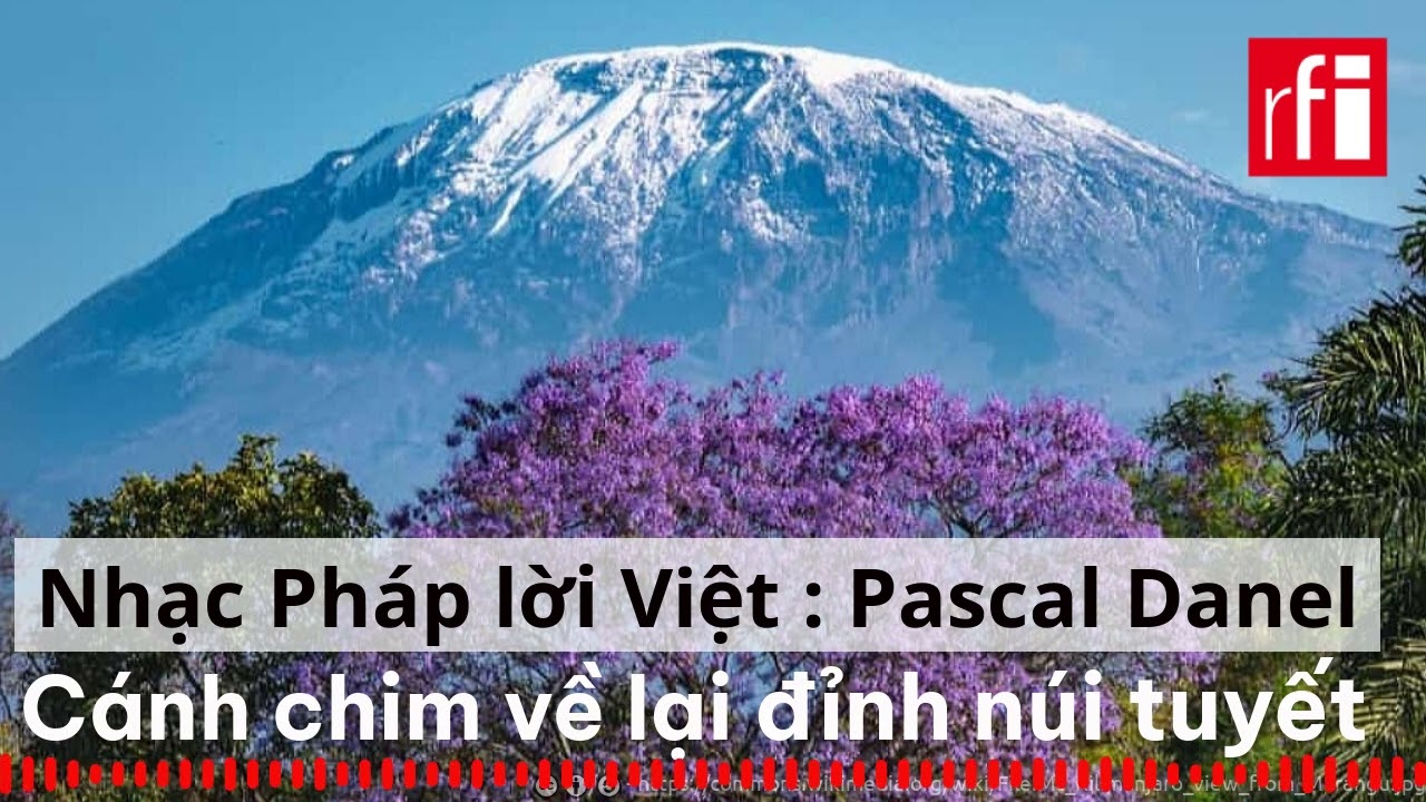 Tưởng niệm ca sĩ Pascal Danel, cánh chim về lại đỉnh cao núi tuyết