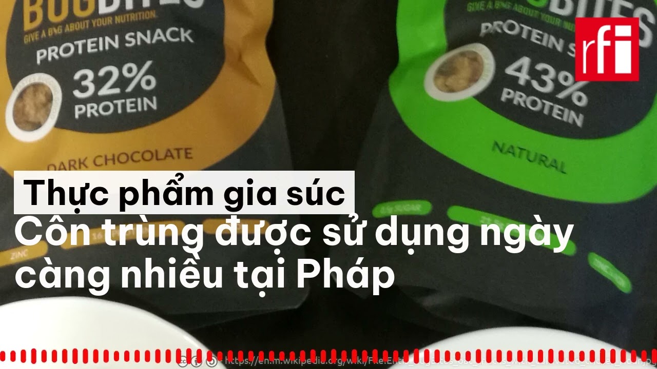 Thực phẩm gia súc: Côn trùng được sử dụng ngày càng nhiều tại Pháp.