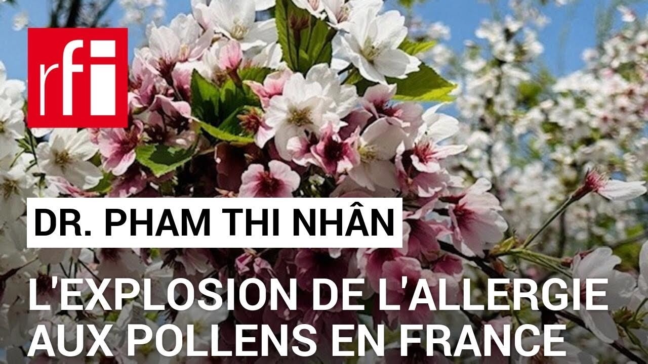 L'explosion de l'allergie aux pollens en France • RFI Tiếng Việt