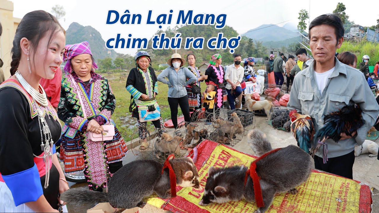 Chợ phiên Lai Châu Sau Trận mưa lớn bà con lại mang chim thú xuống chợ bán