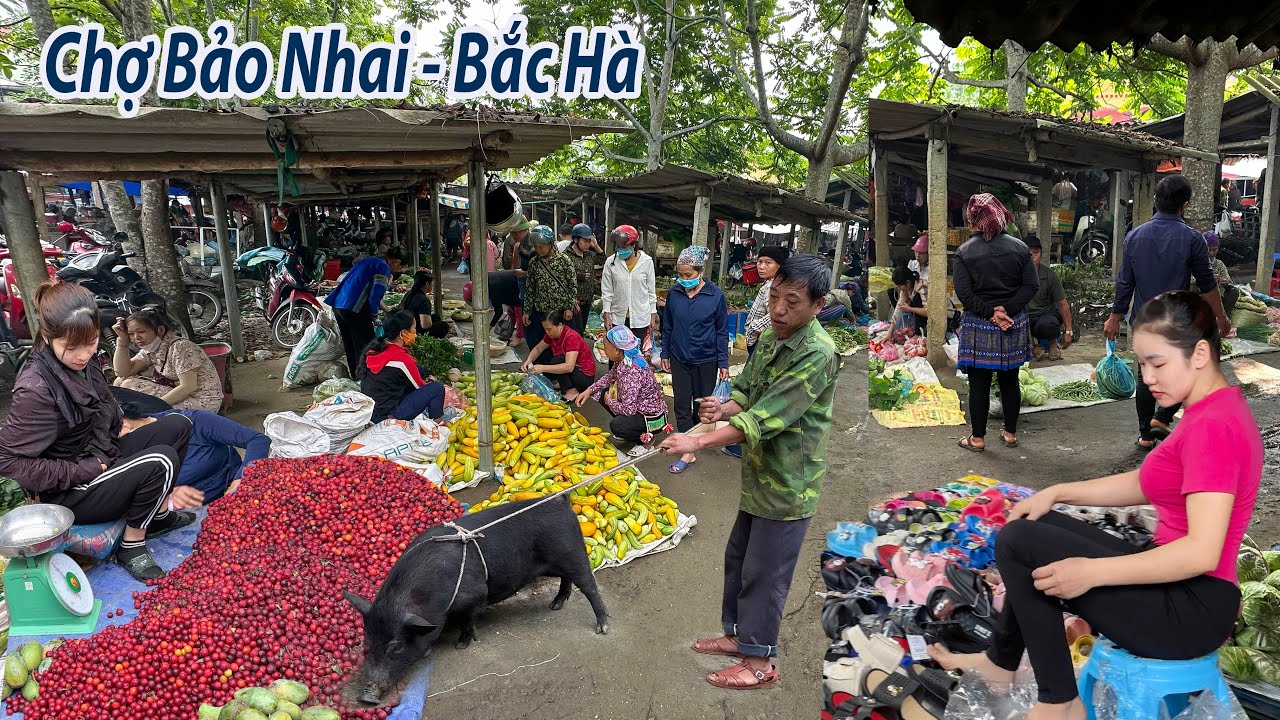 Chợ phiên Bảo Nhai mái lá đơn sơ ngày càng phong phú mặt hàng và đồ rừng xuống núi