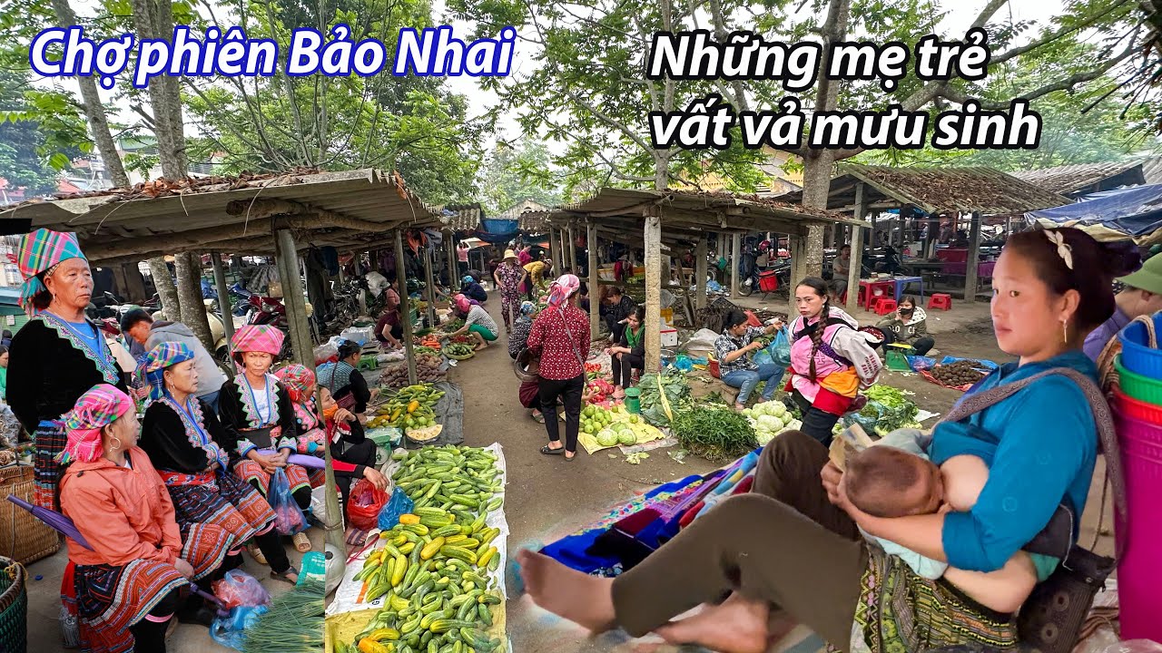 Chợ phiên Bảo Nhai- Những mẹ trẻ mang con 1-2 tháng tuổi ra chợ mưu sinh