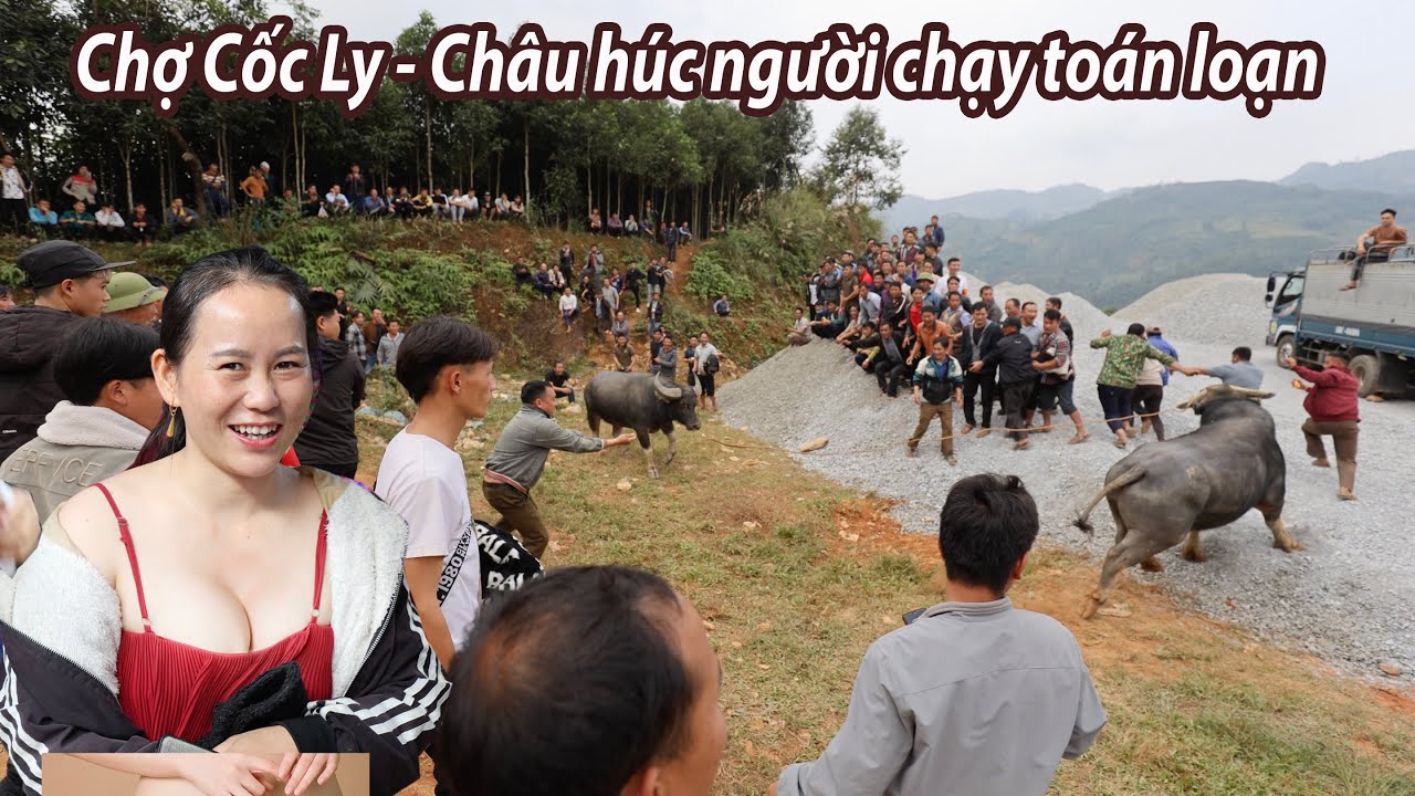 Chợ Cốc Ly- Chọi Châu tự phát kiếm thêm thu nhập những ngày cuối năm