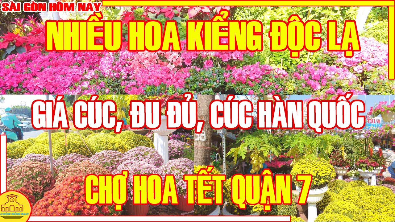 HOA TẾT Sài Gòn 2024! ĐỘC LẠ ĐU ĐỦ, Giá Cúc MÂM XÔI, CÚC HÀN QUỐC / Hoa Tết NHÀ GIÀU Q7 Sài Gòn