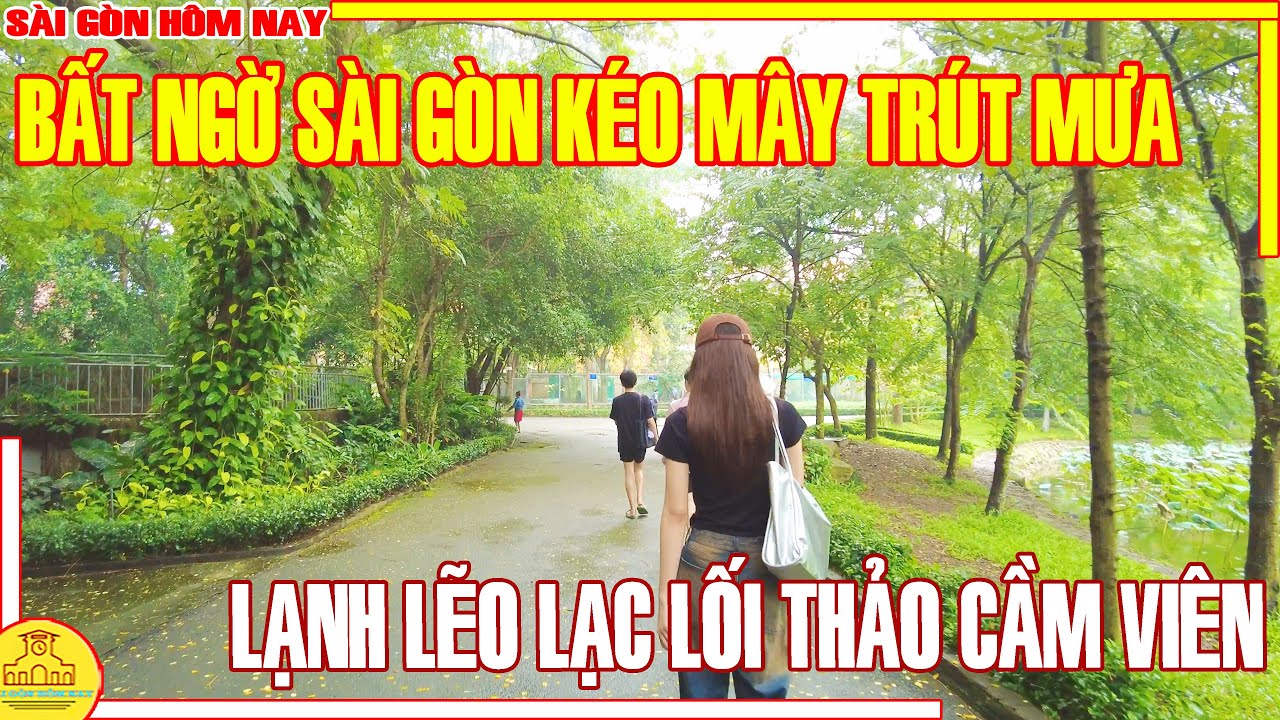 BẤT NGỜ! SÀI GÒN KÉO MÂY TRÚT MƯA / LẠNH LẼO LẠC LỐI THẢO CẦM VIÊN NGÀY MƯA GIÓ / SÀI GÒN HÔM NAY